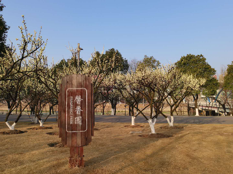 图片10.png